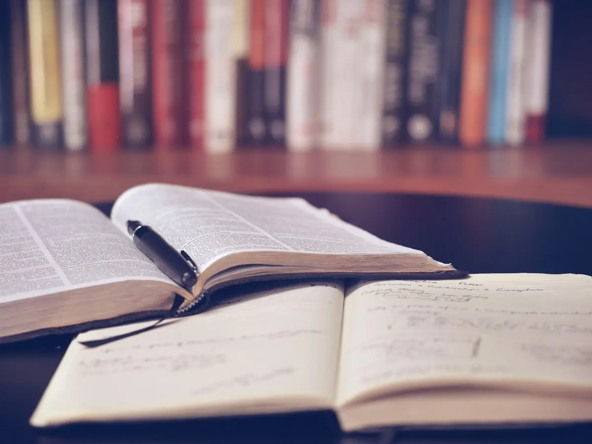 IELTS & Language Prep at Lead Counseling